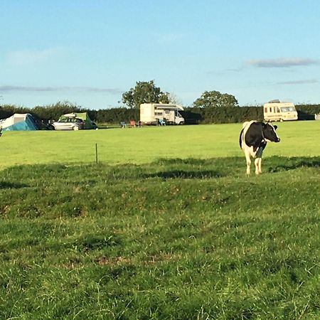 Carreg Y Gwynt Campsite - Touring And Tent Pitches 호텔 Llanarth  외부 사진