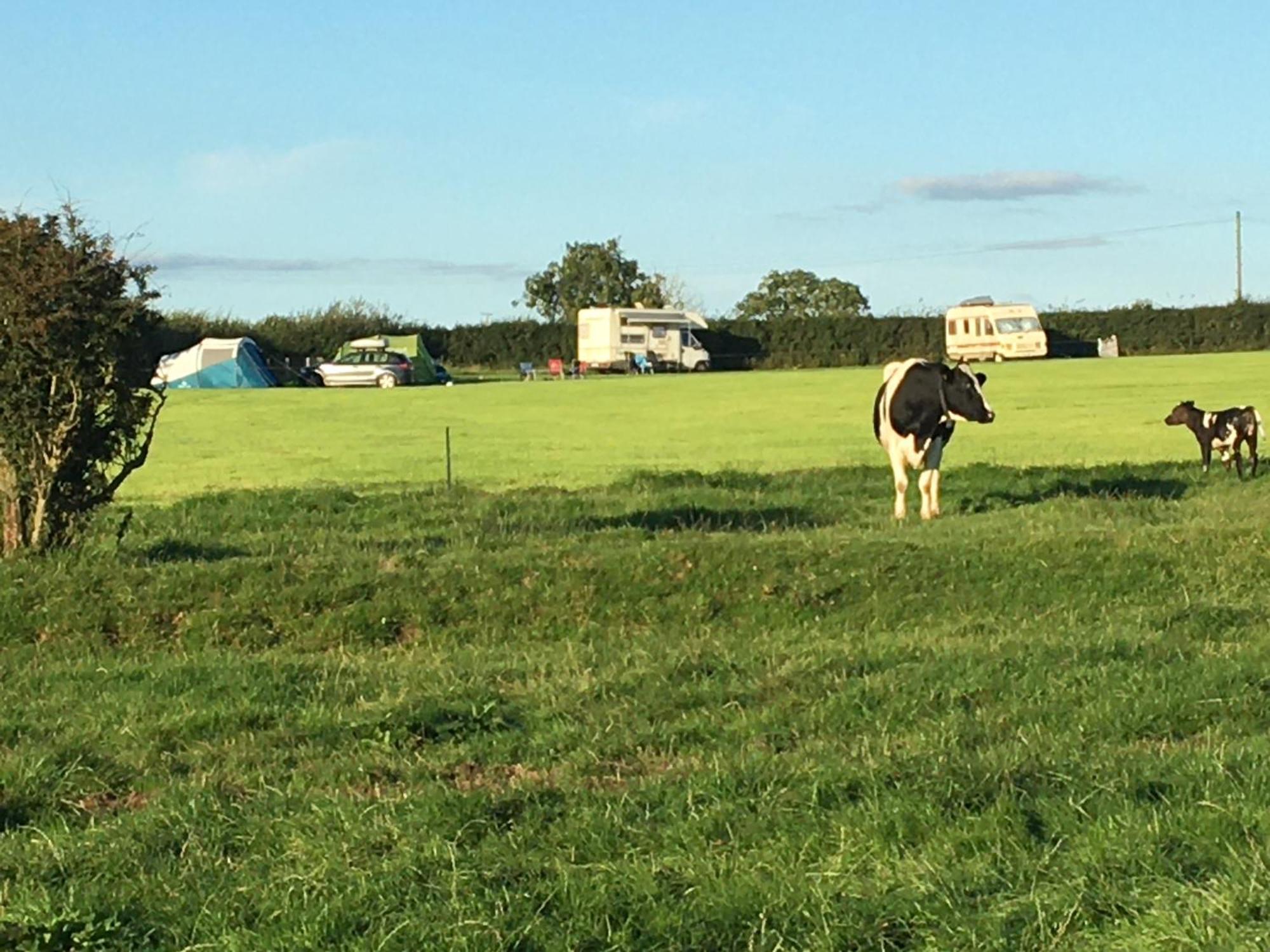 Carreg Y Gwynt Campsite - Touring And Tent Pitches 호텔 Llanarth  외부 사진